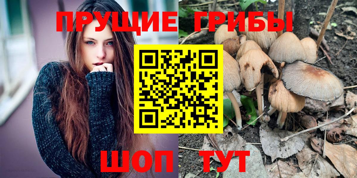 Псилоцибиновые грибы MAGIC MUSHROOMS Анжеро-Судженск