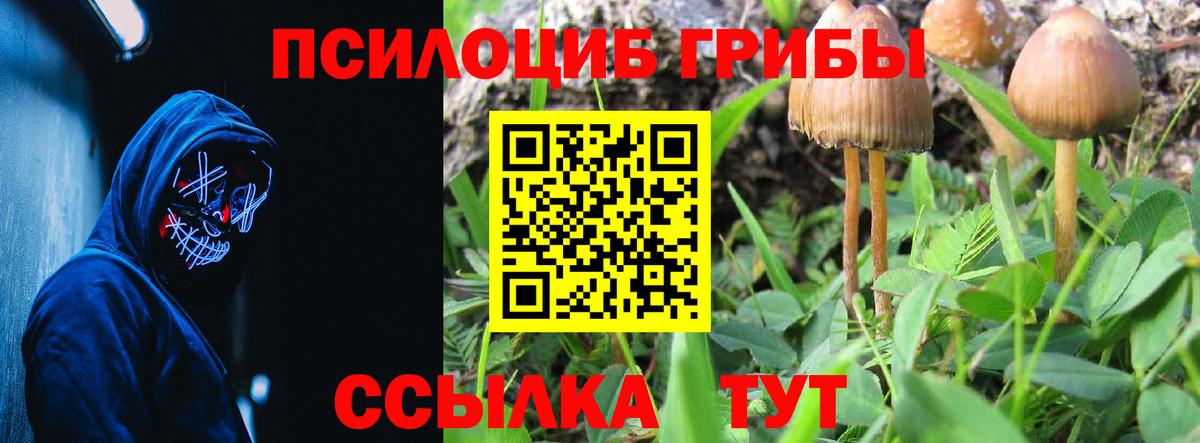 Галлюциногенные грибы Psilocybine cubensis  Вход с VPN  Анжеро-Судженск  закладки  Псилоцибиновые грибы Magic Shrooms 